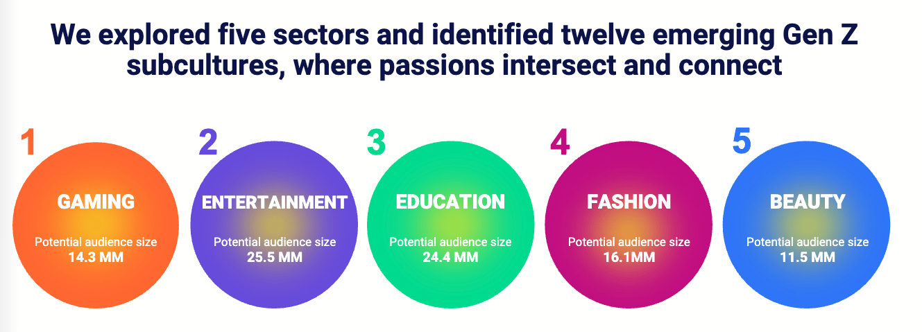 Screenshot from Horizon Media report showing the 5 sectors of Gen Z subcultures